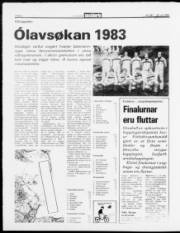 Síða 8