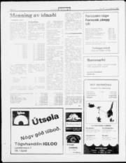 Síða 12