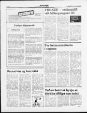 Síða 6