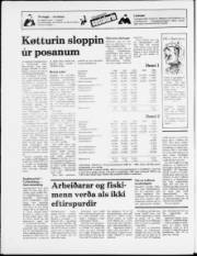 Síða 20