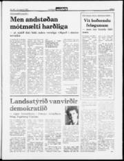 Síða 3