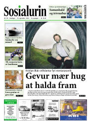 Síða 1