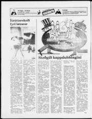 Síða 12