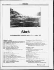 Síða 13