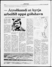 Síða 4