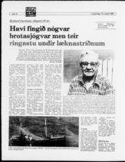 Síða 12