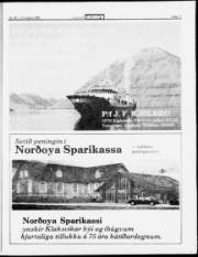 Síða 17