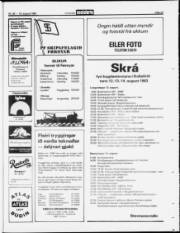 Síða 23