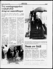 Síða 3