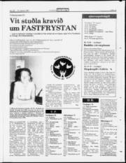 Síða 15