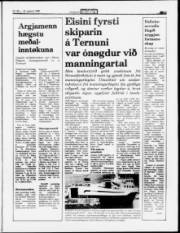 Síða 3