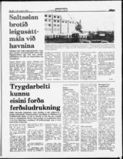 Síða 5