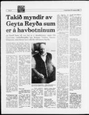 Síða 8