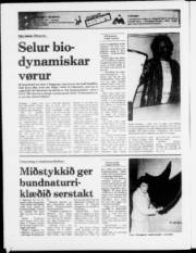 Síða 16