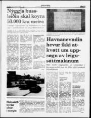 Síða 3