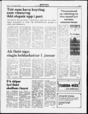 Síða 3