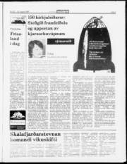 Síða 7