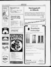 Síða 11