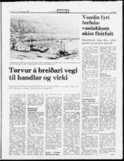Síða 5