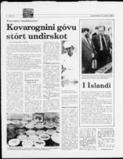 Síða 10