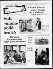 Síða 1