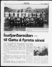 Síða 8