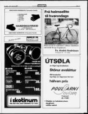 Síða 11