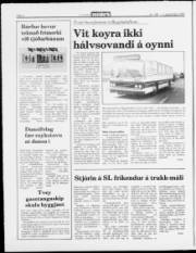 Síða 4
