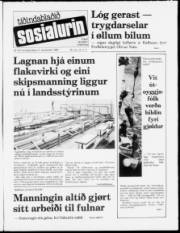 Síða 1