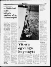 Síða 3