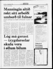 Síða 5