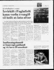 Síða 11