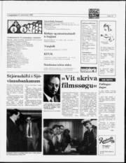 Síða 13