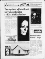Síða 20