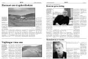 Síða 4