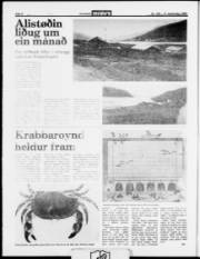 Síða 4