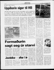 Síða 8
