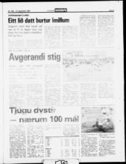 Síða 9