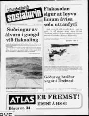 Síða 1