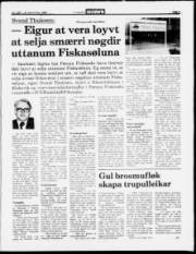 Síða 3