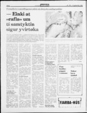 Síða 4