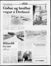 Síða 5