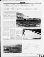 Síða 8