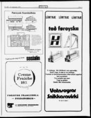 Síða 11