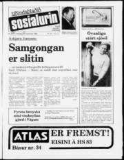 Síða 1