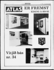 Síða 2