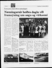 Síða 12