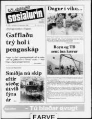 Síða 1