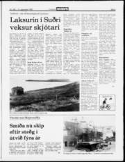 Síða 5