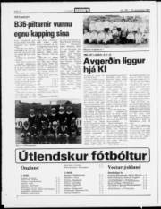 Síða 10